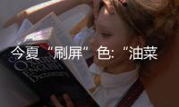 今夏“刷屏”色:“油菜花黄”VS“牛油果绿”