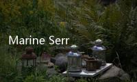 Marine Serre月牙图案实在太火！